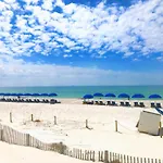 Pelican Walk 502