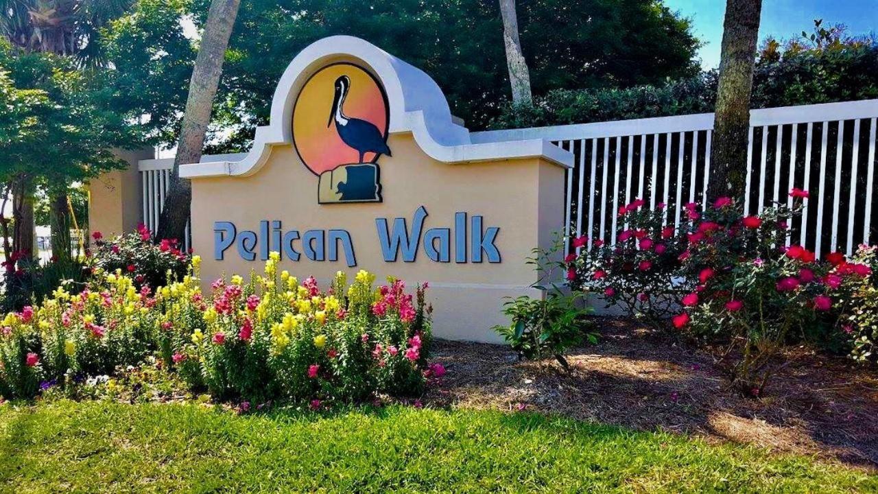 Pelican Walk 502